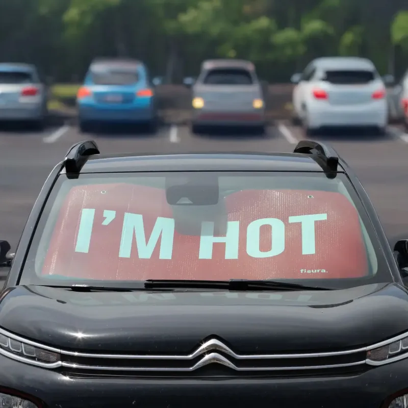 Im Hot Car Sunshade | Happyideas