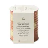 Celestial Storage Tin - Terracotta Sun | Happyideas