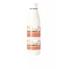 Botella termo Snoopy Muro de acero inox | Happyideas