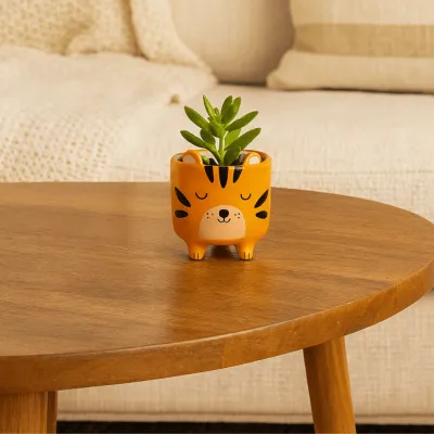 Maceta Mini Tigre con Patitas | Happyideas