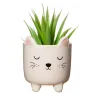 Maceta Mini Gatito con Patitas | Happyideas