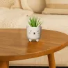 Maceta Mini Gatito con Patitas | Happyideas
