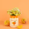 Maceta Albaricoque | Happyideas