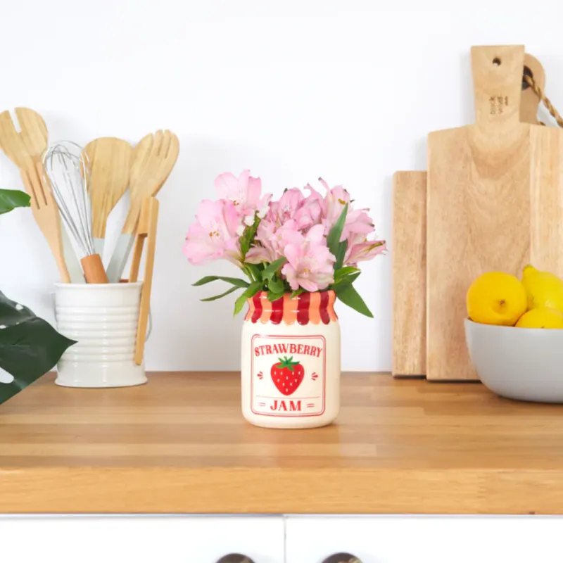 Maceta Fresa | Happyideas