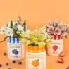 Maceta Arándanos | Happyideas