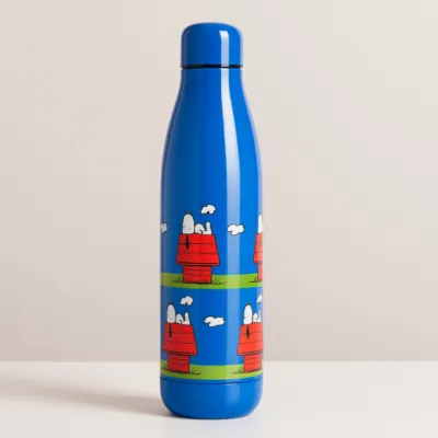 Thermal Bottle Snoopy & Woodstock - Happyideas.com