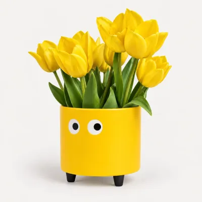 Macetero con ojos Amarillo | Happyideas