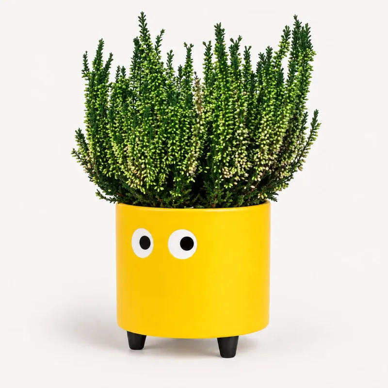Macetero con ojos Amarillo | Happyideas