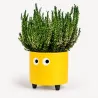 Flowerpot with eyes Yellow Fisura | Happyideas