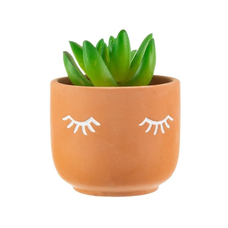 Mini Eyes Planter