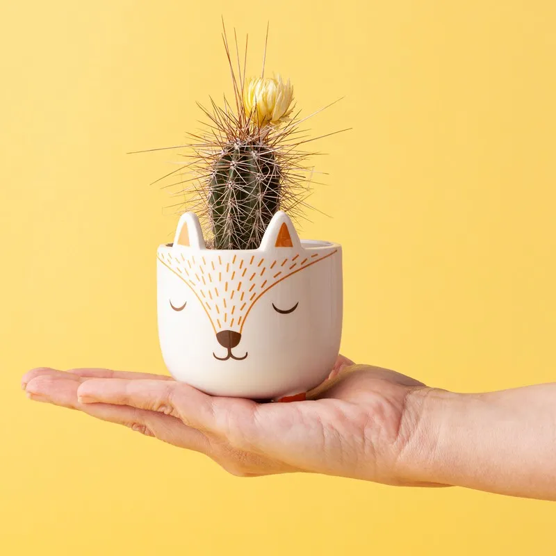 Mini Fox planter