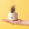 Mini Fox planter