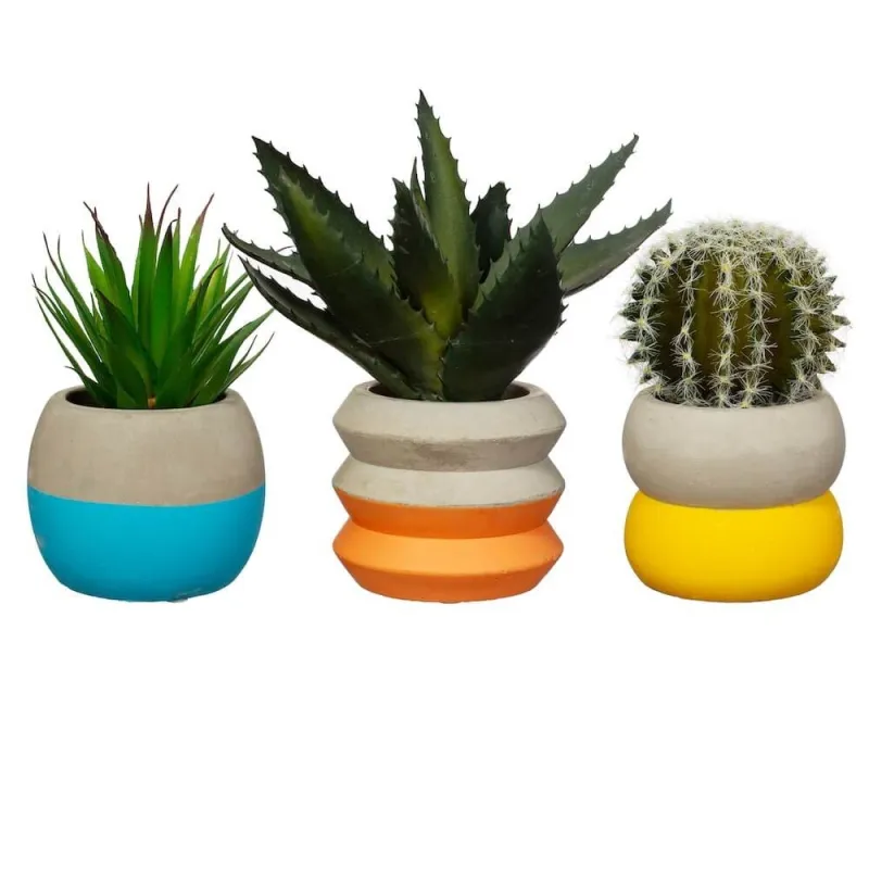 Small Coloured Cement Planter | Happyideas
