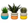 Small Coloured Cement Planter | Happyideas
