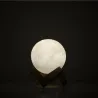 Small Moon Lamp I gift you the Moon | Happyideas