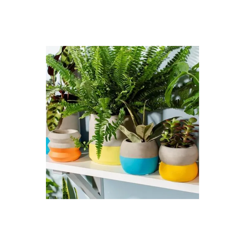 Macetero Cemento Colores Pequeño | Happyideas