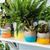 Macetero Cemento Colores Pequeño | Happyideas