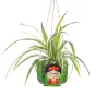 Maceta Frida colgante verde original | Happyideas