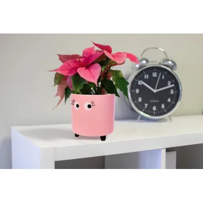 Flowerpot with eyes Pink Fisura - Happyideas.com
