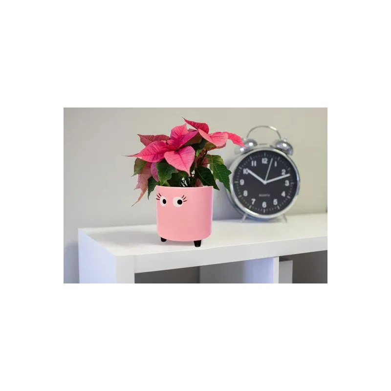 Macetero con ojos Rosa | Happyideas
