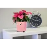 Macetero con ojos Rosa | Happyideas