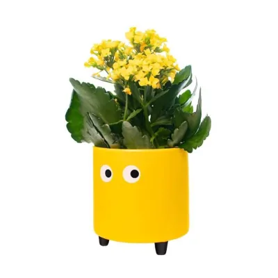 Macetero con ojos Amarillo | Happyideas