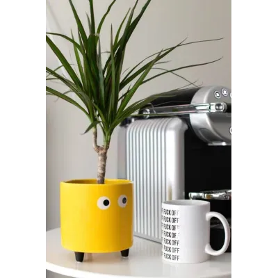 Macetero con ojos Amarillo | Happyideas
