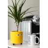 Macetero con ojos Amarillo | Happyideas