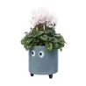Macetero con ojos Azul | Happyideas