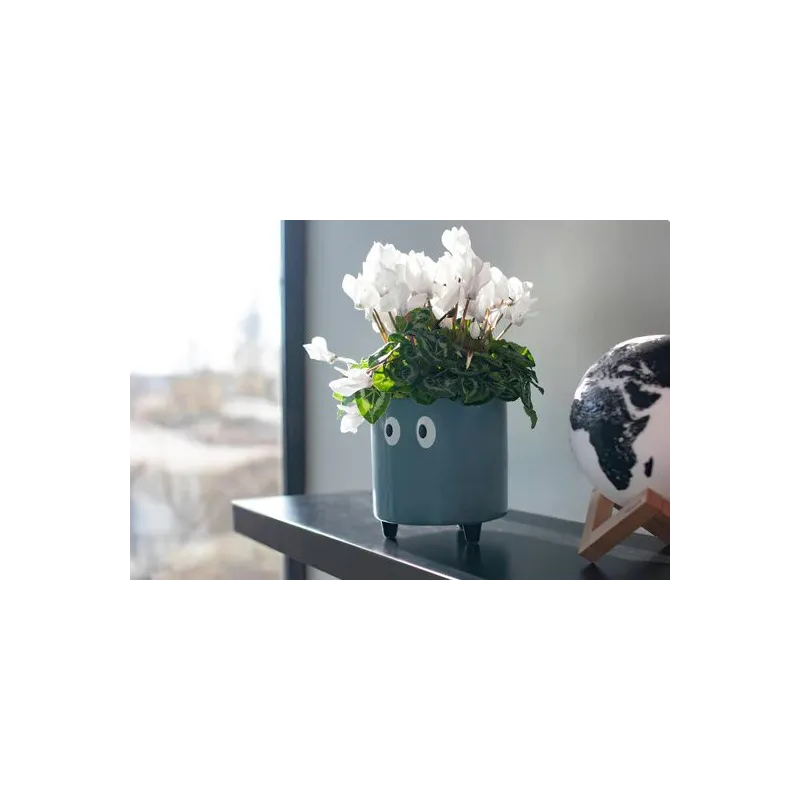 Macetero con ojos Azul | Happyideas