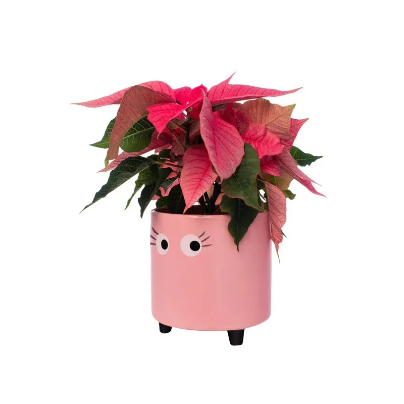 Flowerpot with eyes Pink Fisura - Happyideas.com