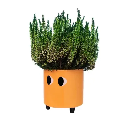 Macetero con ojos Naranja | Happyideas