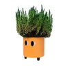 Macetero con ojos Naranja | Happyideas