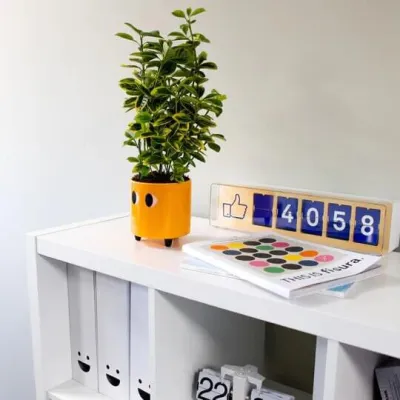 Macetero con ojos Naranja | Happyideas