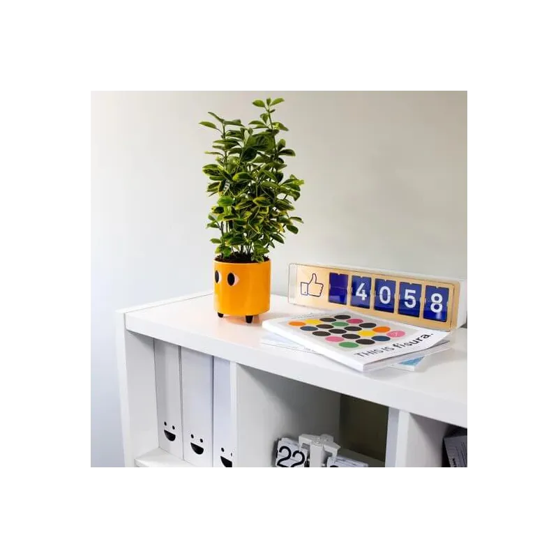 Macetero con ojos Naranja | Happyideas