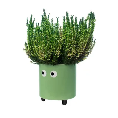 Macetero con ojos Verde | Happyideas