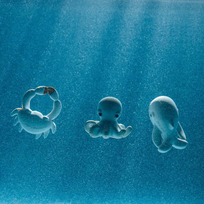 Juguete de Baño Whale Oli&Carol | Happyideas