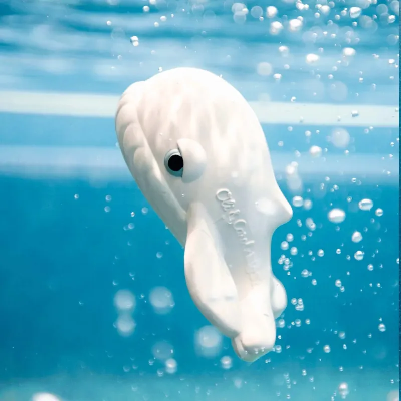 Juguete de Baño Whale Oli&Carol | Happyideas