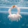Juguete de baño Sharon the Crab | Happyideas