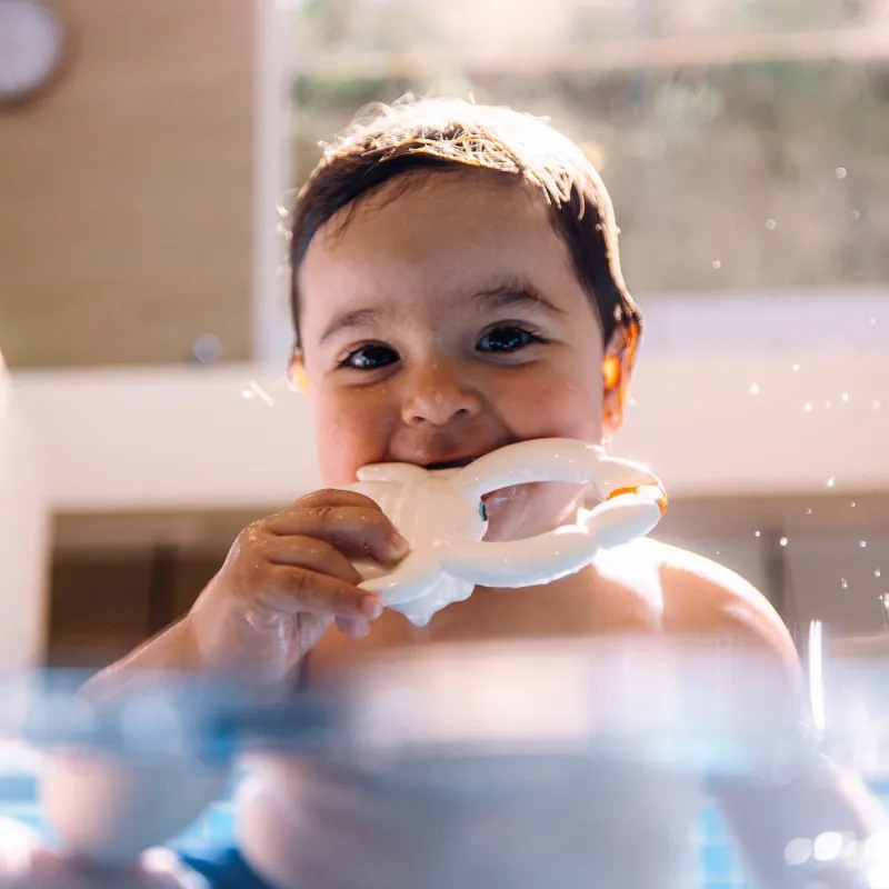 Juguete de baño Sharon the Crab | Happyideas