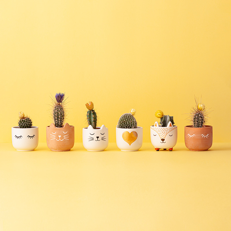 Ideas para terrazas pequeñas