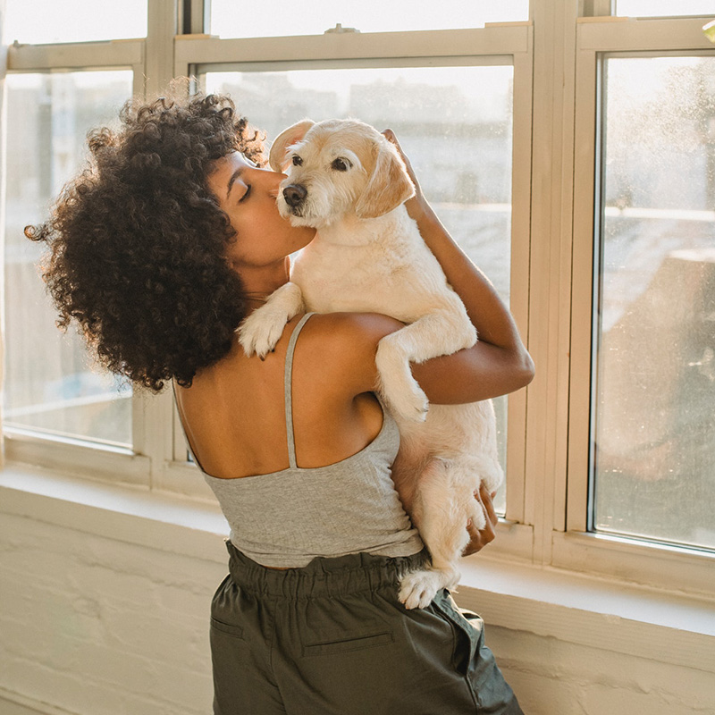 Celebra el día mundial del beso con tu mascota