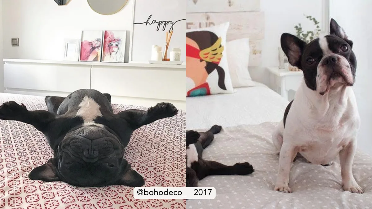 Rincón decorado con láminas y cartel happy de Happyideas en 2017